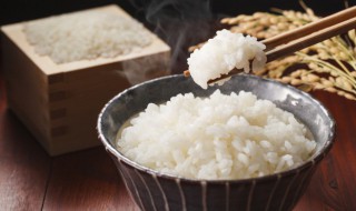 米饭怎么吃不容易发胖 如何吃米饭不长胖