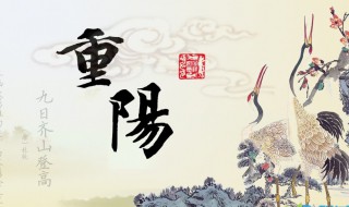 重阳节祝福老人 重阳节祝福老人的句子