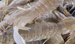 皮皮虾不能和什么一起吃 螃蟹和皮皮虾不能和什么一起吃
