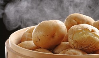 土豆蘑菇的做法（鸡肉炖土豆蘑菇的做法）