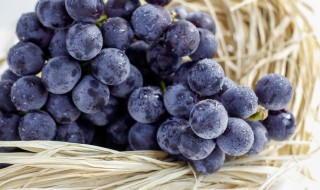 吃了变质葡萄干的危害 变质葡萄干对人危害