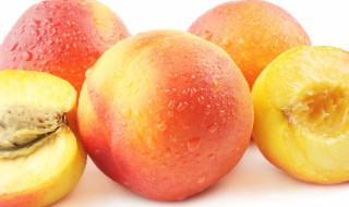 黄桃与普通桃哪个更好 黄桃比一般的桃子好吗