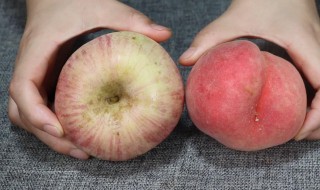 桃子和苹果哪个更适合减肥（减脂期吃桃子还是苹果好）