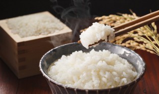 油饼热量高还是米饭热量高 油饼热量高还是米饭热量高好