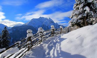 暴雪的标准 暴雪的标准容器