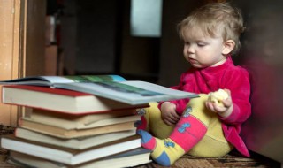 幼儿早期阅读教育的关键是 幼儿早期阅读教育的关键是什么能力