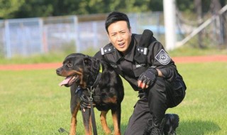 警花与警犬2在哪能看（警花与警犬2在哪能看到）