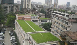 楼顶无土种植知识 楼顶无土种菜