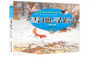 雪地寻踪摘抄优美句段 雪地寻踪摘抄片段