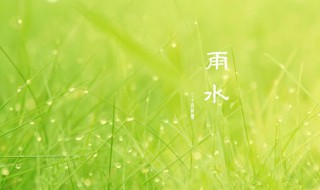 雨水节气吃什么好（雨水季节吃什么好）