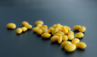 黄豆的功效 黄豆的功效与作用禁忌