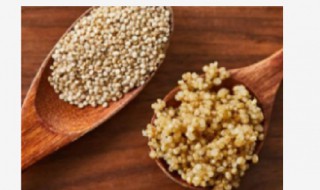 藜麦为什么被称为超级谷物（藜麦为什么是超级谷物）