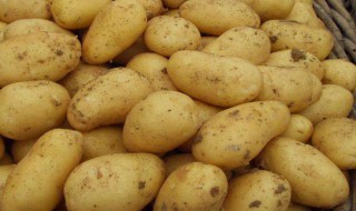 土豆怎么吃最营养 土豆怎么吃最营养丰富