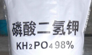 磷酸二氢钾的使用禁忌（磷酸二氢钾的使用禁忌ie=utf-8）