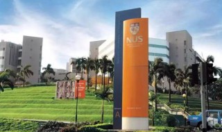 新加坡国立大学专业有哪些 新加坡国立大学最好的专业是什么