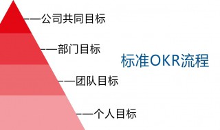 okr怎么写（行政人员okr怎么写）