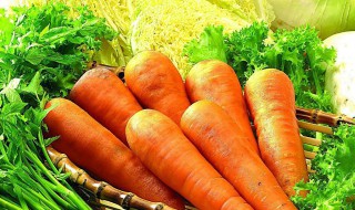 胡萝卜的营养价值 土豆的营养价值