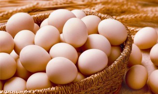 鸡蛋的营养价值（鸡蛋的营养价值在蛋白还是蛋黄）