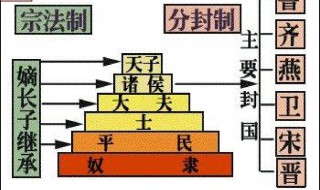 简洁的概括分封制的内容（分封制的内容简短）