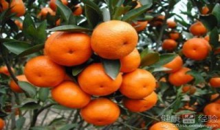 柑橘的营养价值（柑橘的营养价值及功效与害处）