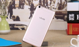 vivoz5不显示图标名称（vivoz5怎么改图标）