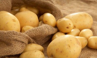 土豆营养价值 筒子骨炖土豆营养价值