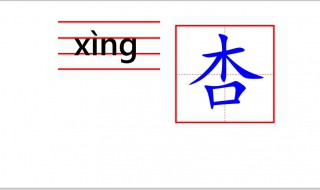 杏字怎么写（杏字怎么写好看的技巧）