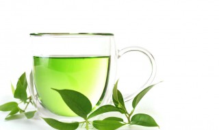 什么茶属于绿茶范围 什么茶属于绿茶的范围