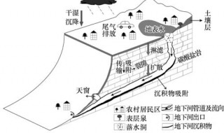 地下水位高低怎么判断 地下水位高低怎么判断示意图