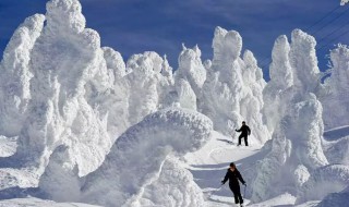 日本西部冬季降雪多的原因 日本西部冬季降雪多的原因是