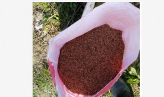 鱼肠肥料属于什么肥 鱼肠肥料属于什么肥料类型