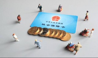 个人在劳动局交的保险金能取出来吗（个人交的社保金能取出来吗）