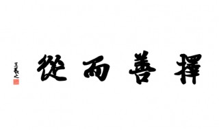 择善而从意思 择善而从意思相近的成语