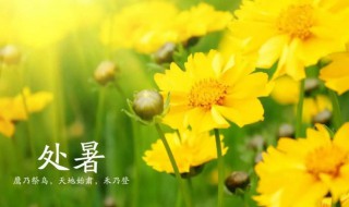 2021处暑节气的含义是什么意思（2021处暑节气的含义是什么意思呢）