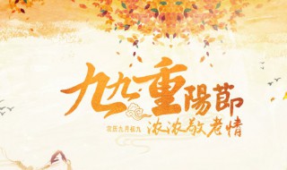 重阳节的问候语（重阳节的问候语句）