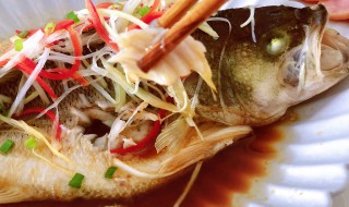 重阳菜品清蒸鲈鱼怎么做 重阳菜品清蒸鲈鱼怎么做好吃