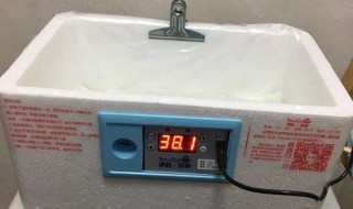 水床孵化湿度怎么控制 水床孵化湿度怎么控制温度