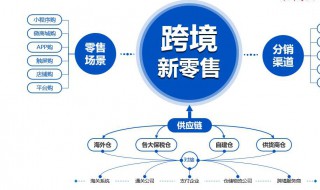 企业如何培养跨境电商人才（企业如何培养跨境电商人才培训）