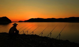 天气在14度时怎么钓鱼（天气在14度时怎么钓鱼呢）