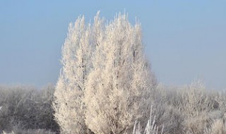 拍风景用什么定焦镜头好（定焦镜头适合拍风景吗）