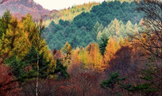 香山在哪个省（香山在哪个省哪个城市）