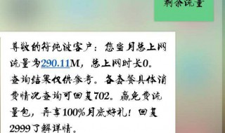 10001怎么查流量（10001怎么查流量还有多少）