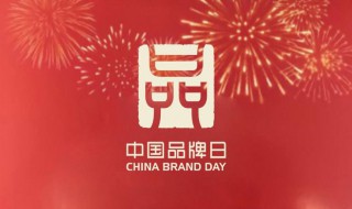 中国品牌日设立于哪一年（中国品牌日设立于多少年）