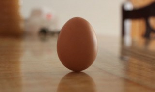 立春为什么可以立鸡蛋 立春的时候鸡蛋真的可以立起来吗
