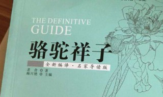 骆驼祥子的读书报告怎么写 骆驼祥子读书报告册