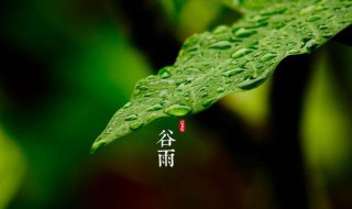 谷雨节气的介绍 谷雨节气的介绍幼儿园