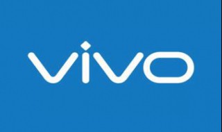 vivo怎么设置应用使用时间（vivo怎么设置应用时间限制）