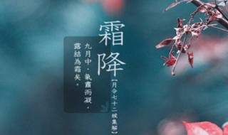 霜降节气介绍（霜降节气介绍幼儿园小广播员）