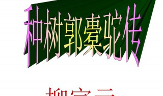 种树郭橐驼传文言知识（种树郭橐驼传文言知识总结）