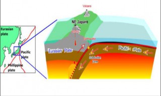大陆板块相撞挤压的地区常形成什么 板块挤压处在海洋与陆地交界处形成